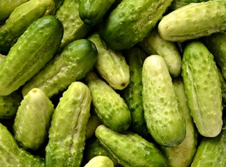 Green cucumbers as background