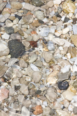 deniz