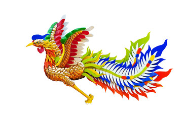 Chinese Phoenix,phuket,thailand