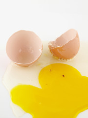 Egg Shells and Yolk