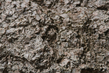 Stein 23