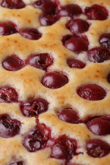 Cherry sponge closeup