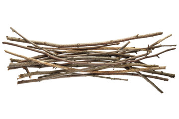 Naklejka premium Sticks and twigs isolated