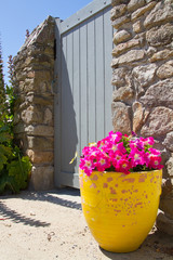 Le pot devant le portillon