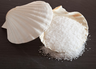Sea salt in shell