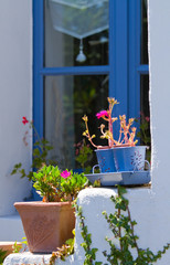 Les marches fleuries B