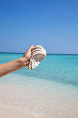 Holding a mussel on an exotic beach