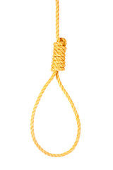 Suicide Noose isolated on white