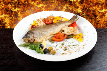 trout fish