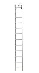 Roof Ladder