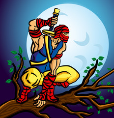 ninja, sitting on a tree at night under a full moon