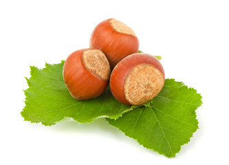 Hazelnuts with green leaves