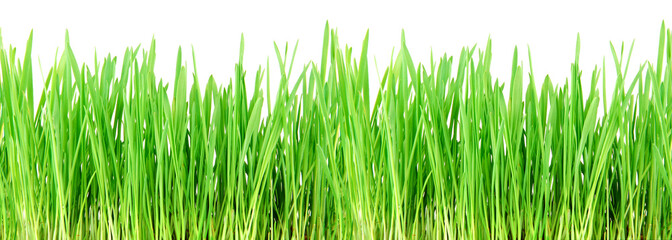 Seamless grass