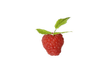 Ripe raspberry with green leaf