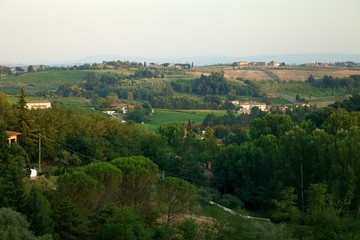Colline del Chianti D.O.C.