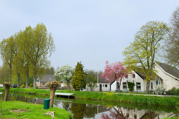 Typical Dutch farmhouses