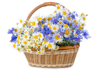 Fototapeta na wymiar Beautiful flowers in a basket isolated on white