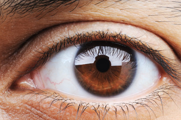 Fototapeta premium Zbliżenie ludzkiego oka, tryb makro