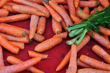 carrots and dill vegetables background