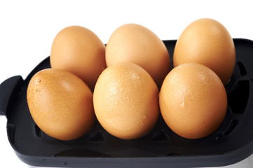 eggs
