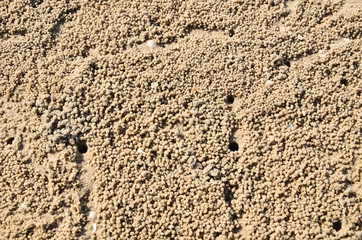 Sands background
