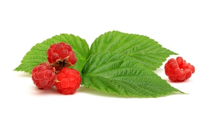 Framboises
