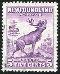 postage stamp