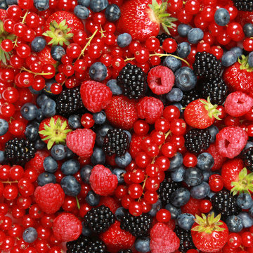 Beeren