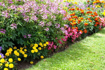 Blumenbeet und Rasen