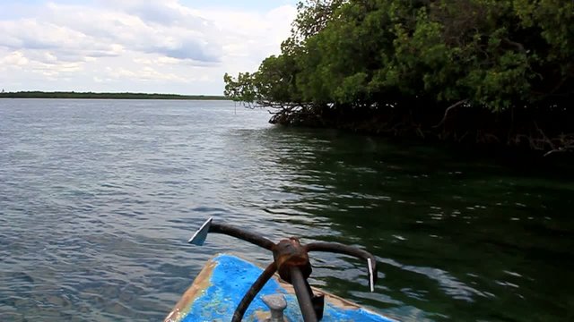 kenya watamu  safari blue
