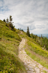 Obraz premium mountain road