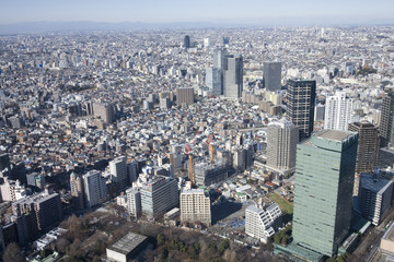 Obraz premium 都庁からの景色
