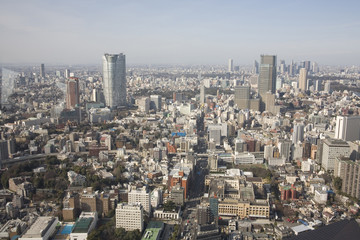 東京タワーからの景色