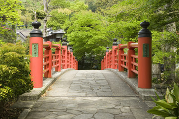 新緑とかえでばし