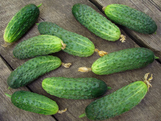 cucumbers