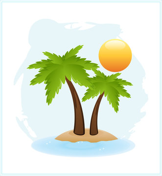 Tropical palm on island