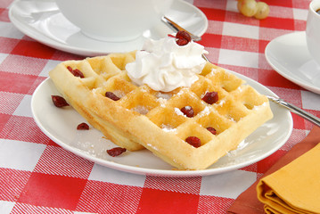 Waffles witth dried carnberries
