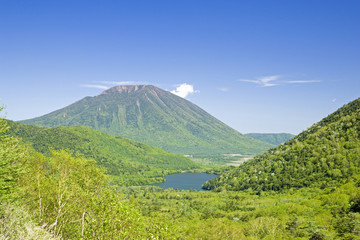 Naklejka premium Świeży zielony Oku Nikko