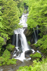 Obraz premium 竜頭ノ滝