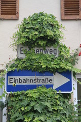 Fototapeta na wymiar Zugewachsenes streaßenschild in Esslingen - Deutschland