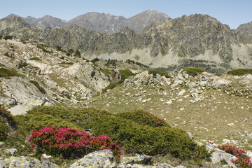 Obraz premium mountain ridges in French Pyrenees