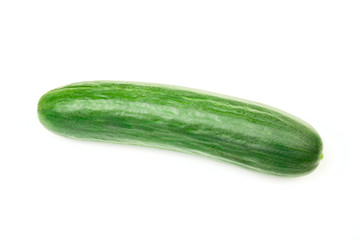 Cucumber