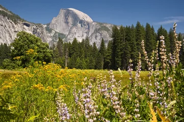 Fotobehang Half Dome Half Dome vom Yosemite Valley aus