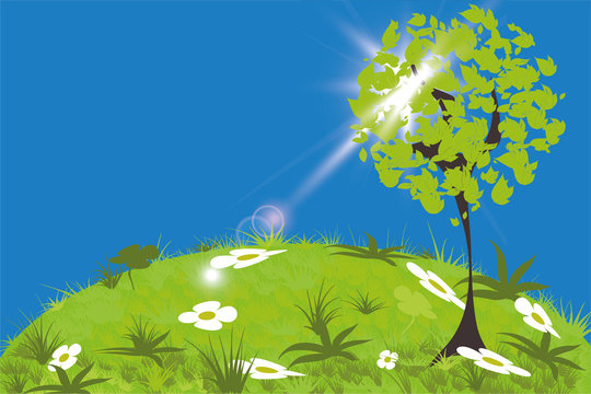 Abstract vector tree on the lawn in sunny summer day. EPS10