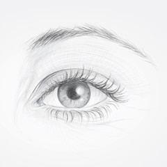 EYE / Realistic sketch of beautiful woman eye