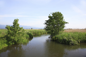 Obraz premium 福島潟