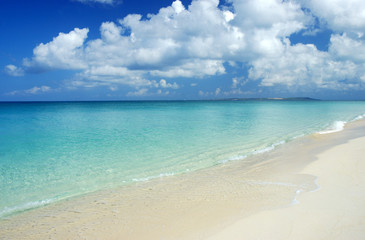 海