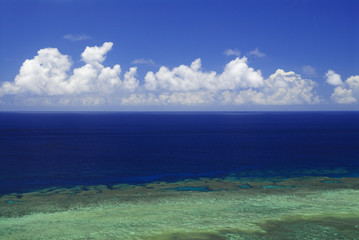 サンゴ礁の海