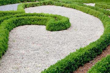 Moderner Garten mit Buchs