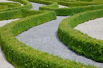 Moderner Garten mit Buchs